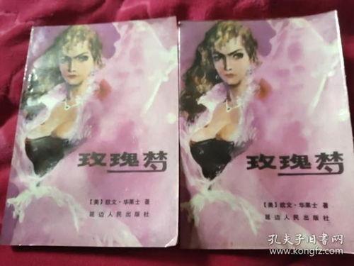 玫瑰梦,探寻浪漫与现实的交织之旅