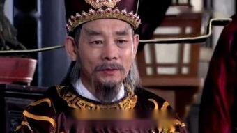 包青天之碧血丹心,包青天传奇再续