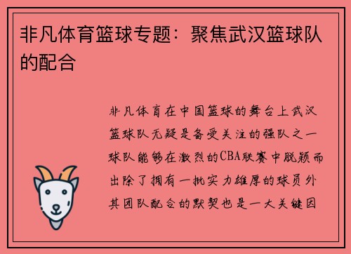 非凡体育篮球专题：聚焦武汉篮球队的配合