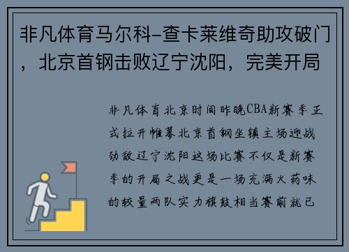 非凡体育马尔科-查卡莱维奇助攻破门，北京首钢击败辽宁沈阳，完美开局！
